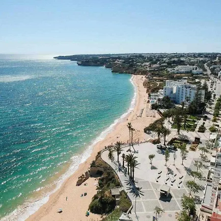 Apartment Timeless Iii